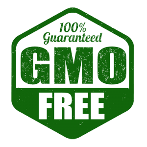 indonesian product GMO free