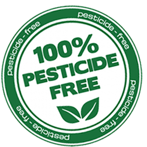 indonesian product 100% Pesticide Free