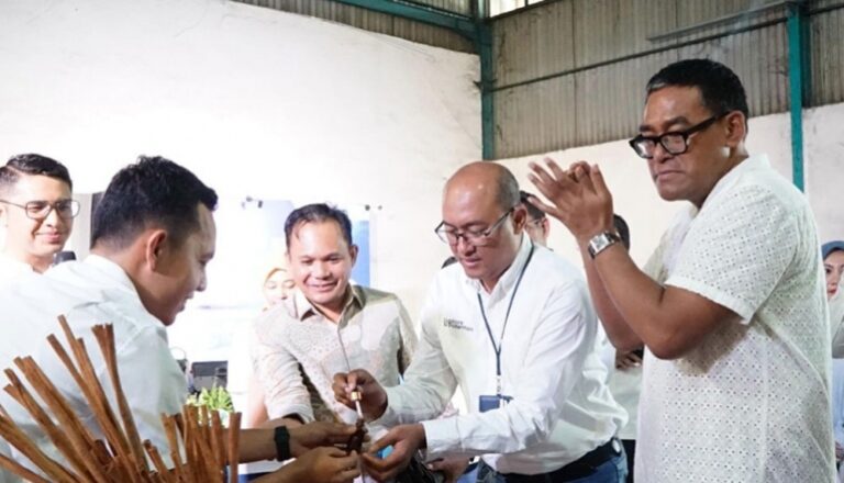 Indonesia Cinnamon Export to Turkey