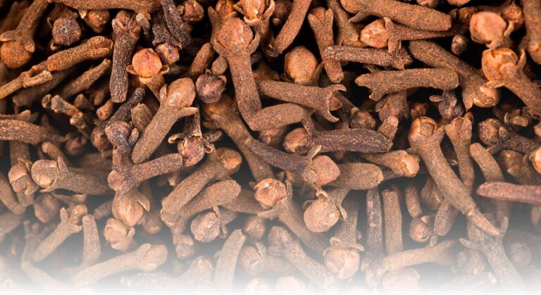 Indonesia Cloves Export to Dubai