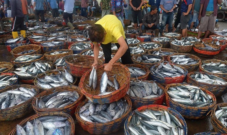 Indonesia Fish Export to Vietnam