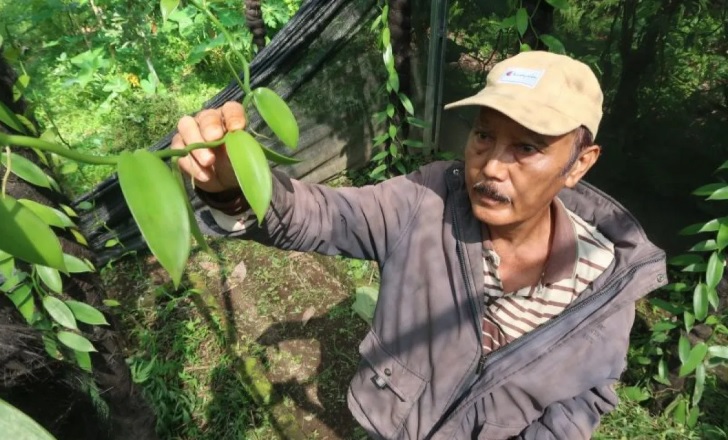 Indonesia Vanilla Export