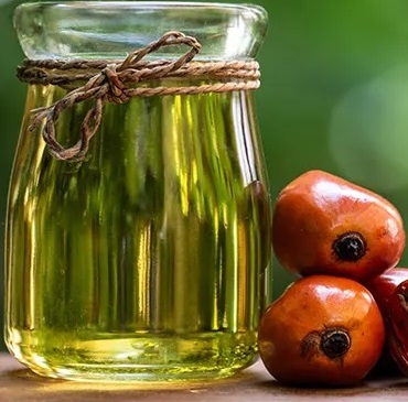 Indonesia's Palm Oil Exporters 2025