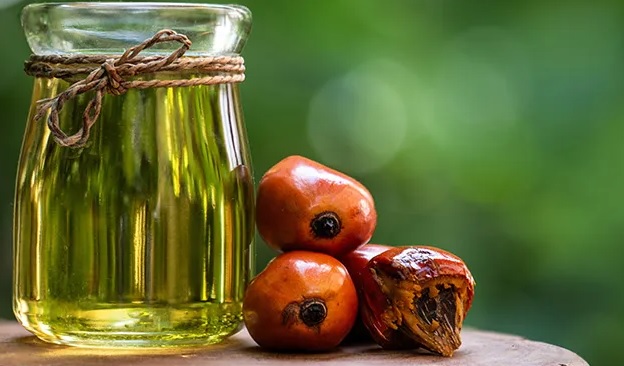 Indonesia's Palm Oil Exporters