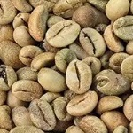 Indonesian Arabica Coffee 2026