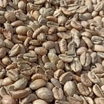 Indonesian Liberica Coffee 2026