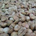 Indonesian Robusta Coffee 2025