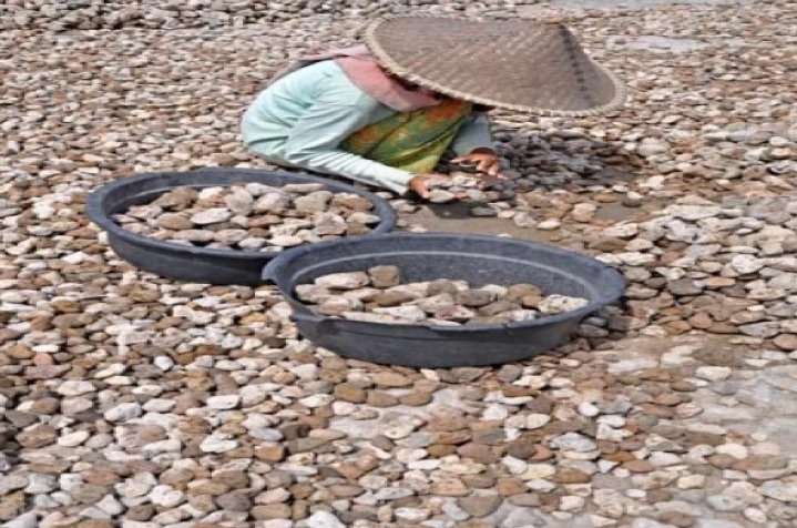 Pumice Stone Exporter