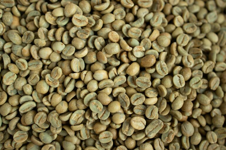 Arabica Coffee Bean Exporters