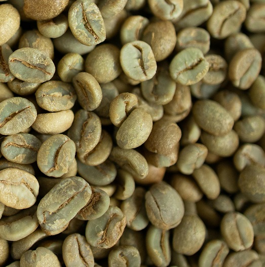 Arabica Coffee Bean Exporters 2026