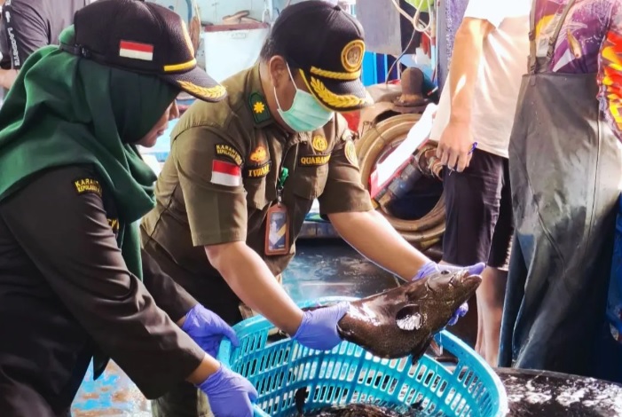 Indonesia Live Fish Export