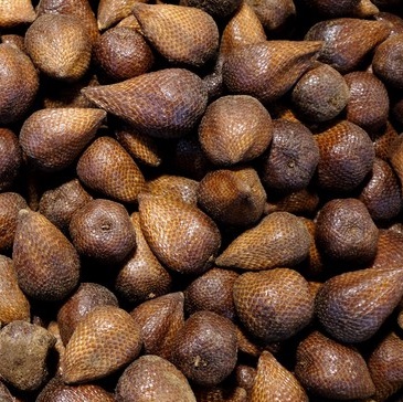 Indonesia Snake Fruit Export 2026