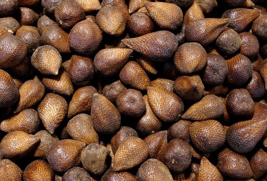 Indonesia Snake fruit Export