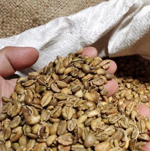 Liberica Coffee Bean Exporters 2026