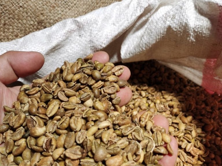 Liberica Coffee Bean Exporters