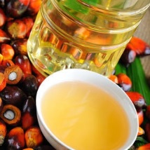 RBD Palm Oil Exporters 2026