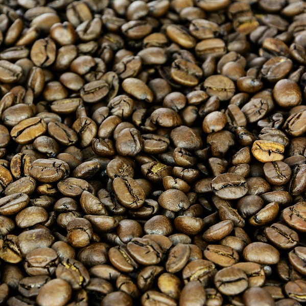 Robusta Coffee Bean Exporters 2026