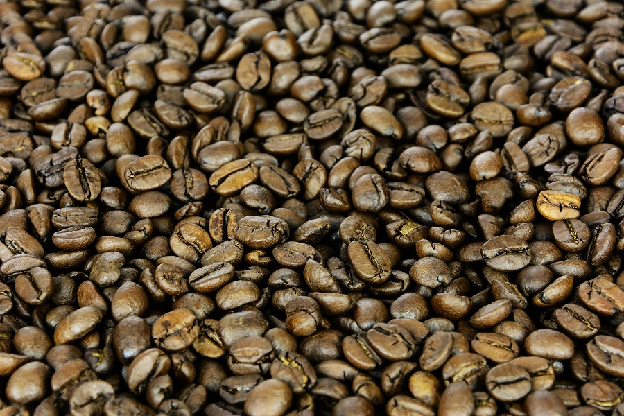 Robusta Coffee Bean Exporters