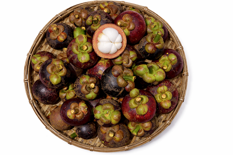 mangosteen exporters