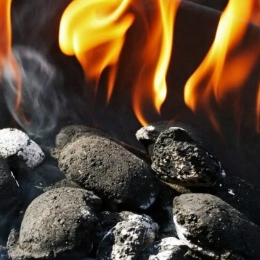 Coconut Shell Charcoal Export to China 2026