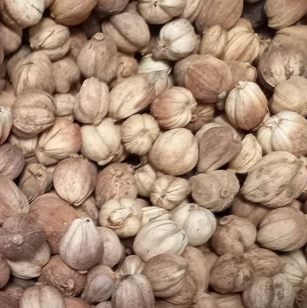 Cardamom export to China 2026