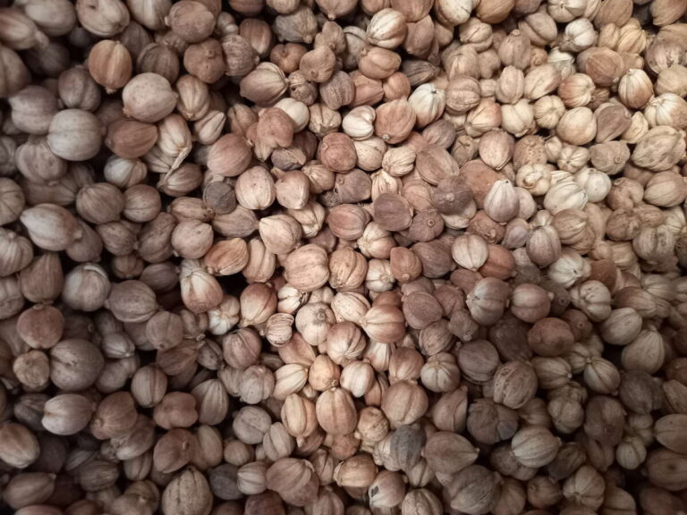 Cardamom export to China
