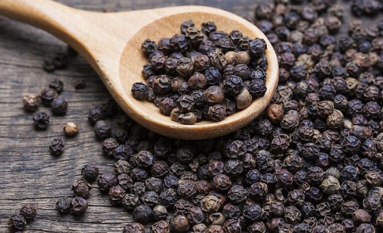 First Export of Black Pepper