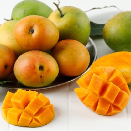 Indonesia Mango Exporters 2026